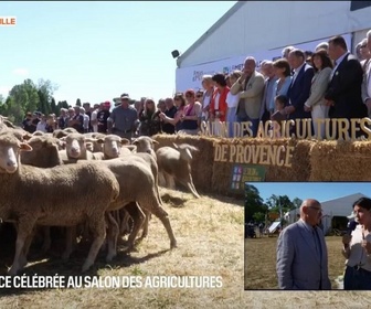 Replay Les longs formats des Locales - La Provence célébrée au Salon des Agricultures