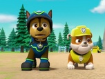 Replay Paw Patrol, la Pat'Patrouille - Le mystérieux trésor