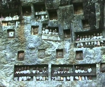 Replay Destinations - Indonésie