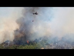 Replay La Turquie lutte contre les incendies de forêt alors qu'une vague de chaleur frappe l'Europe