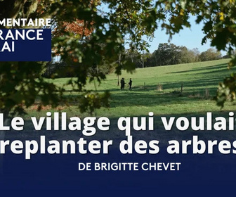 Replay La France en Vrai - Bretagne - Le village qui voulait replanter des arbres