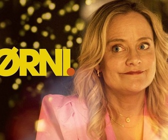 Replay Pørni