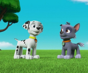Replay Paw Patrol, la Pat'Patrouille - Sauvetage extrême : L'atterrissage du Capitaine Gordy
