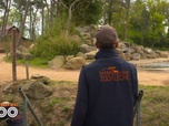 Replay Une saison au zoo - S13 E22