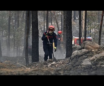 Replay Incendie dans le Var : plus de 600 pompiers mobilisés, le feu toujours pas fixé