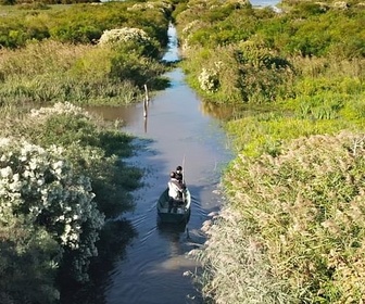 Replay Le royaume de l'eau douce - La Camargue, sauvage et fragile