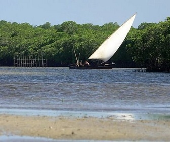 Replay Henry de Monfreid au Kenya / Argentine / Slovénie - Invitation au voyage