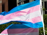 Replay ARTE Info Expresso - Quelle prise en charge des personnes trans ?