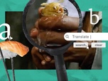 Replay Le poisson Babel est-il LA solution aux conflits ? - Gymnastique