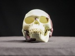 Replay Fraudes et mensonges scientifiques