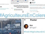 Replay Agriculture : la colère s'étend en Europe - Colère des agriculteurs : la récupération politique du mouvement sur X