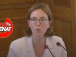 Replay 100% Sénat - Finances publiques : audition d'Amélie de Montchalin