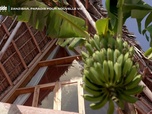 Replay 50' inside, Le mag du 11 octobre 2025