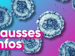 Replay Top Info - Hantavirus : attention à ces fausses infos