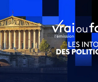 Replay Vrai ou faux, l'émission - Les intox des politiques