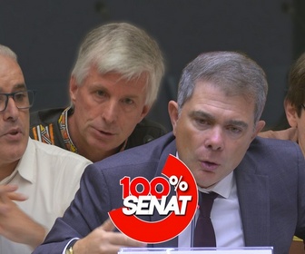 Replay 100% Sénat - Le wokisme, une menace pour les universités françaises ?