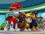 Replay Paw Patrol, la Pat'Patrouille - Travis l'apprenti fermier