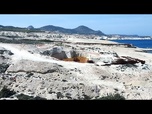 Replay Milos en danger : le tourisme et l'absence de protection détruisent le littoral