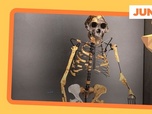 Replay Lucy, l'ancêtre de l'humanité, exposée à Prague - ARTE Journal Junior de mercredi