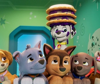 Replay Paw Patrol, la Pat'Patrouille - La publicité de François