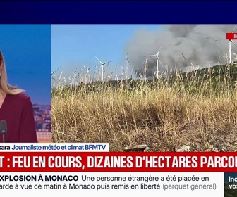 Replay Marschall Truchot : Hérault : feu en cours, des dizaines d'hectares parcourus - 01/07