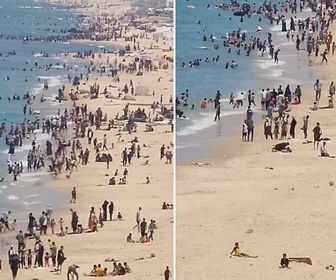 Replay Gaza : la plage de la discorde - Le dessous des images