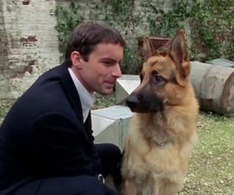 Replay Rex, chien flic - Série noire