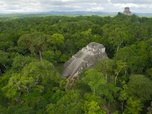 Replay Le mystère des Mayas : des origines à la chute - S1E3 - Les cités Mayas abandonnées