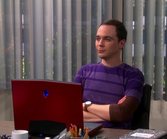 Replay The Big Bang Theory - S6E14 - Renversement de tendance