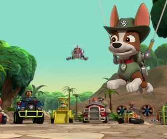 Replay Paw Patrol, la Pat'Patrouille - Travis dans la jungle