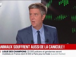 Replay BFM Grand Soir - Plus de 1 100 records de chaleur battus en cinq jours - 27/05