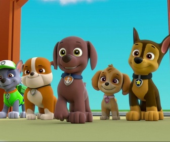 Replay Paw Patrol, la Pat'Patrouille - Des chatons qui sèment la pagaille