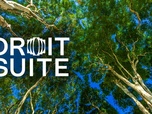 Replay Droit de suite - Charte de l'environnement : bouclier écologique ou texte symbolique ?