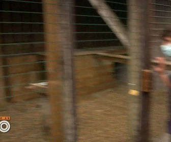 Replay Une saison au zoo - S14 E2