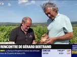 Replay Iconic Business - Iconic Story : À la rencontre de Gérard Bertrand - 01/08