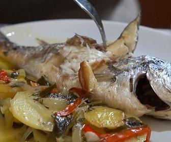 Replay Douarnenez / Colombie / Royaume-Uni - Invitation au voyage