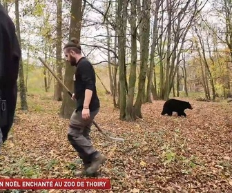 Replay Un jour, un doc - Un Noël enchanté au zoo de Thoiry