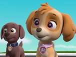 Replay Paw Patrol, la Pat'Patrouille - Le concours de sculpture sur sable