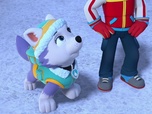 Replay Compilation Paw Patrol, la Pat'Patrouille 15