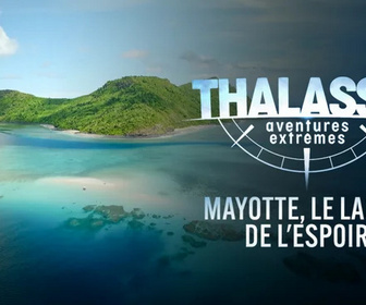 Replay Thalassa, aventures extrêmes - 15/12/2025