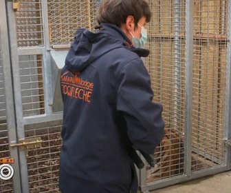 Replay Une saison au zoo - S13 E19