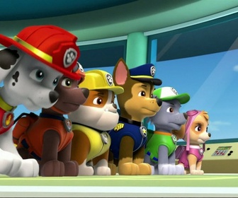 Replay Paw Patrol, la Pat'Patrouille - Un sacré charivari