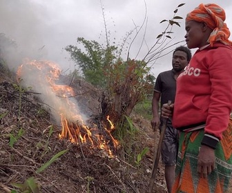 Replay ARTE Reportage - Madagascar : terre de feu (2022)