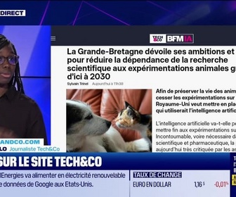 Replay Tech & Co, la quotidienne - À lire sur le site Tech&Co : La Grande-Bretagne dévoile ses ambitions et son plan pour réduire la dépendance de la recherche scientifique aux expérimentations animales grâce à l'IA d'ici à 2030, par Kesso Diallo - 12/11