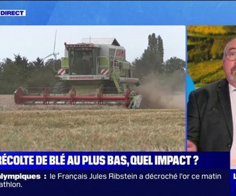 Replay La chronique éco - Blé: la France enregistre sa plus mauvaise récolte en 40 ans, quel impact pour les consommateurs et les producteurs?