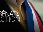 Replay Sénat en action - Maires au bord de la crise de nerfs