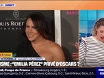 Replay Culture et vous - Emilia Pérez: après les tweets racistes de son actrice principale Karla Sofía Gascón, le film privé d'Oscars?