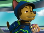 Replay Paw Patrol, la Pat'Patrouille - A la recherche du sac perdu