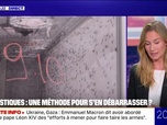 Replay 20H BFM - LE REPORTAGE DU 20H - Un procédé mis au point pour bloquer la reproduction des moustiques tigres et limiter leur prolifération