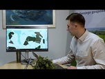 Replay Comment les données radar traversent les nuages pour façonner l'agriculture de précision en Pologne